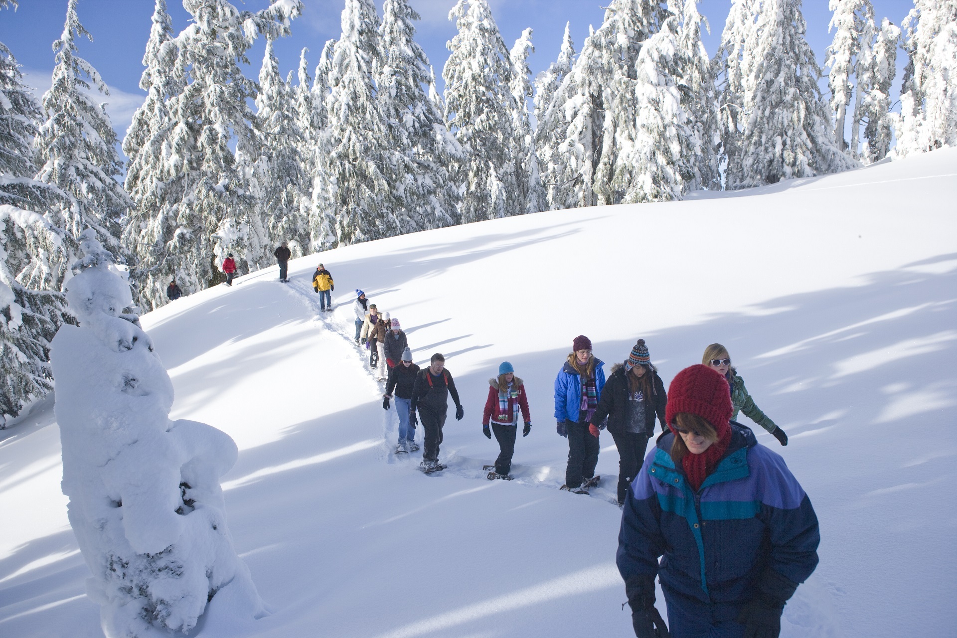 Gruppen Schneesschuhwandern